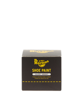 Silver Shoe Paint