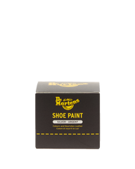 Silver Shoe Paint